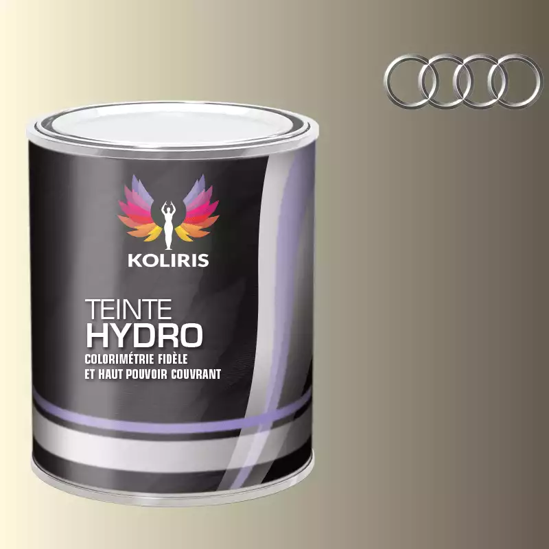 Peinture voiture hydro Audi