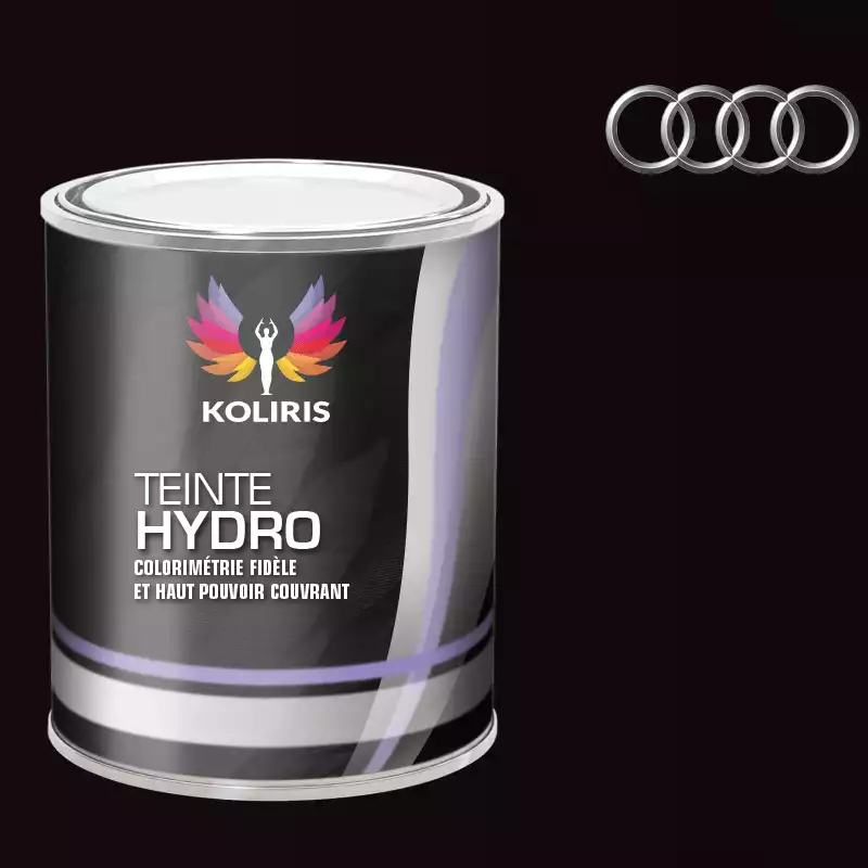 Peinture voiture hydro Audi