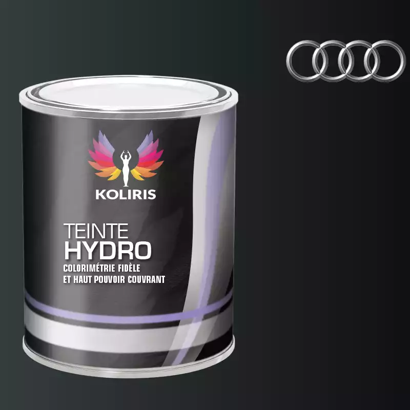 Peinture voiture hydro Audi