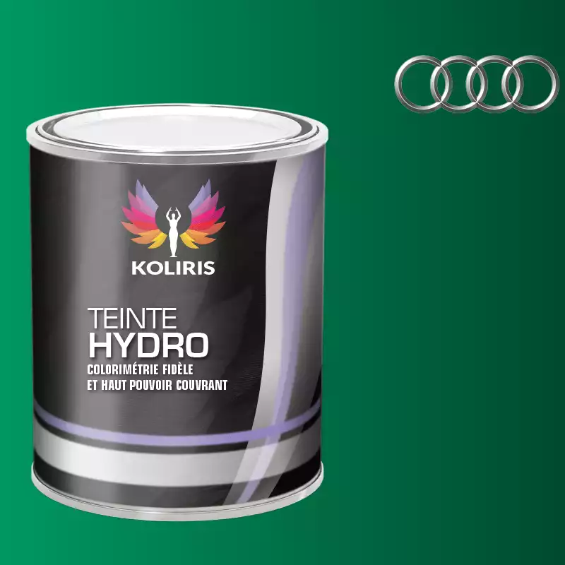 Peinture voiture hydro Audi