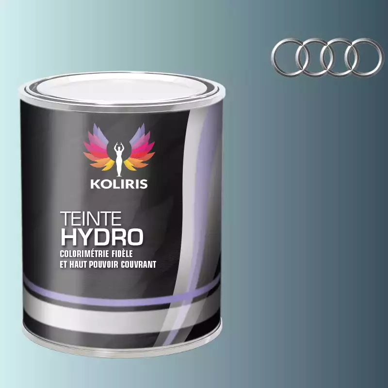 Peinture voiture hydro Audi