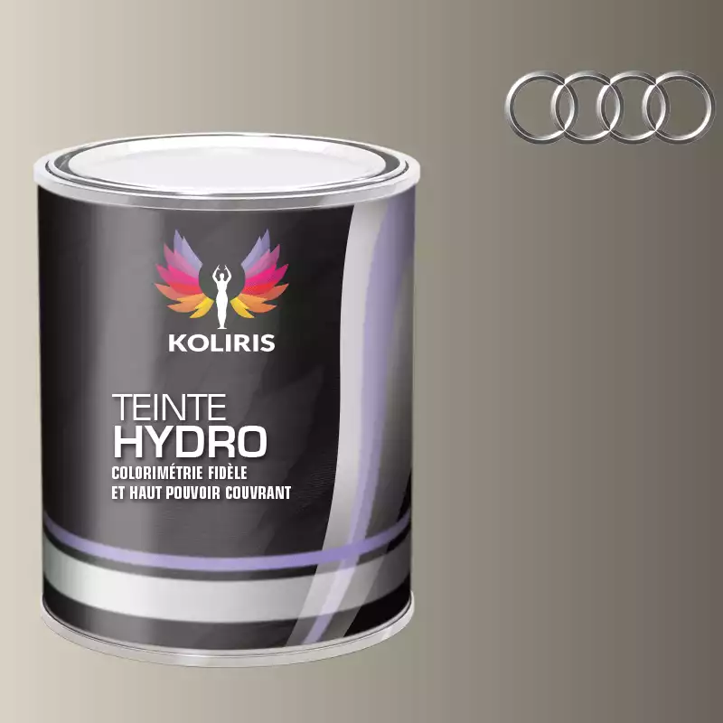 Peinture voiture hydro Audi