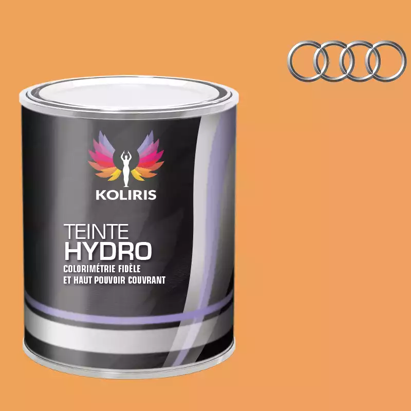 Peinture voiture hydro Audi