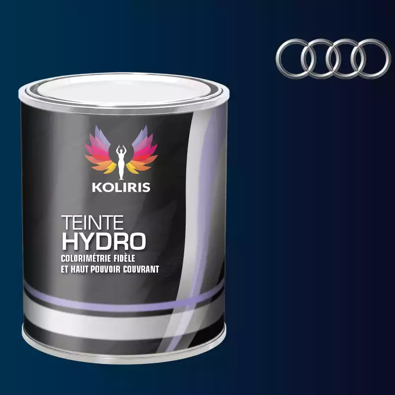 Peinture voiture hydro Audi