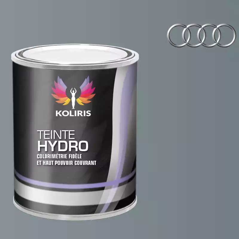 Peinture voiture hydro Audi