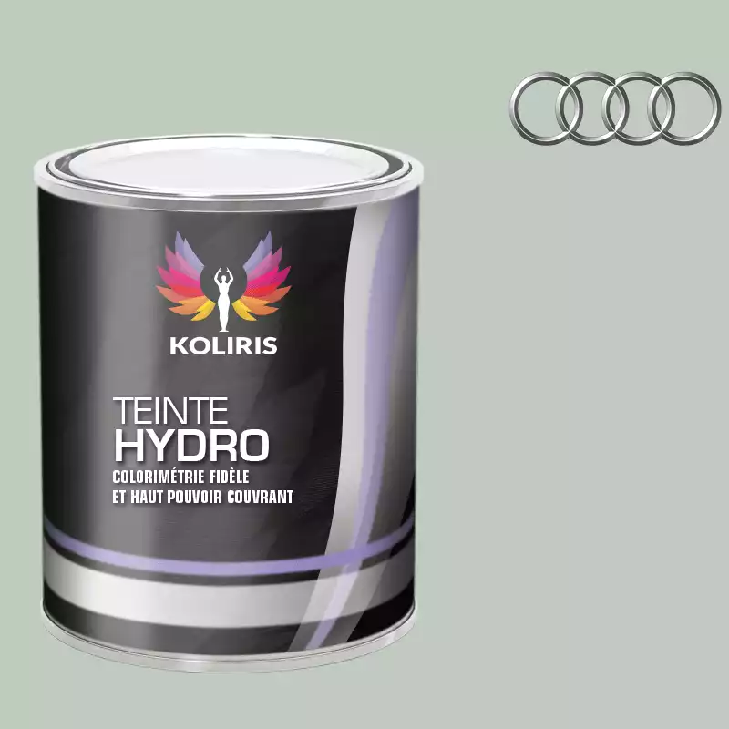 Peinture voiture hydro Audi