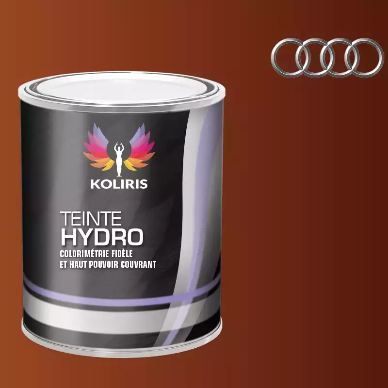 Peinture voiture hydro Audi