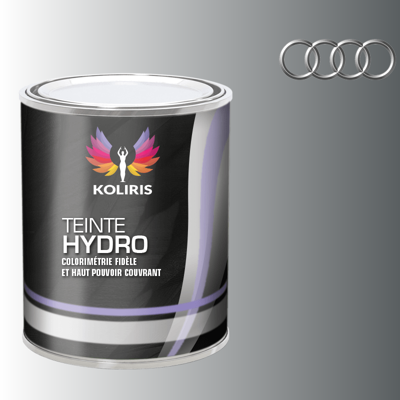 Peinture voiture hydro Audi