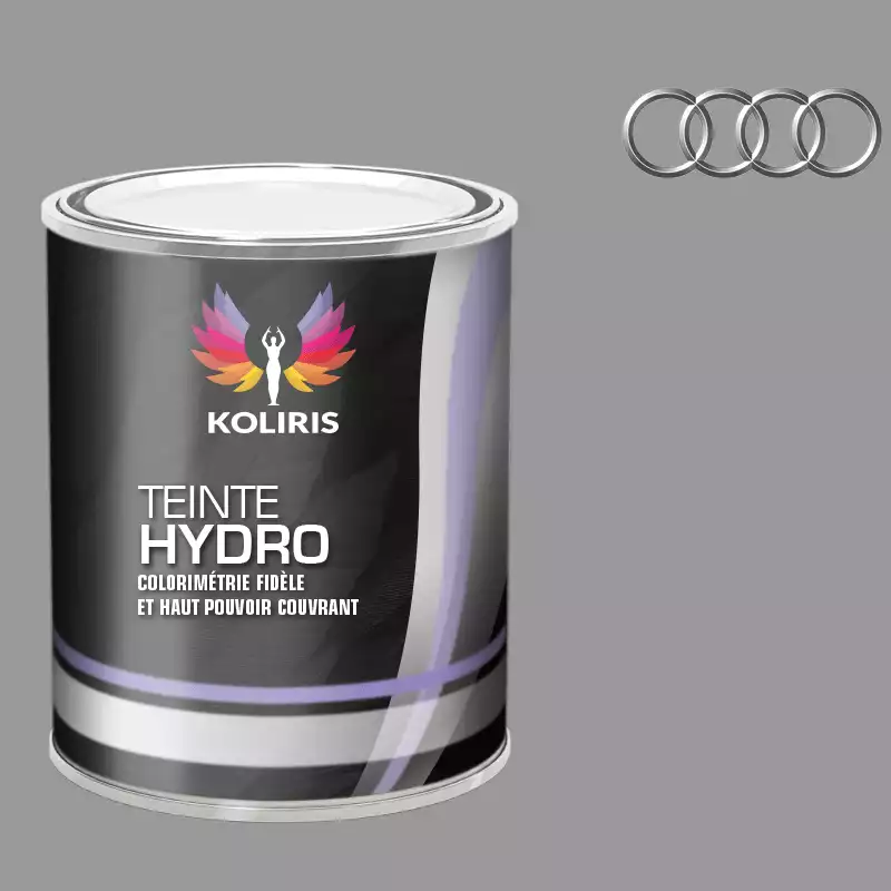 Peinture voiture hydro Audi