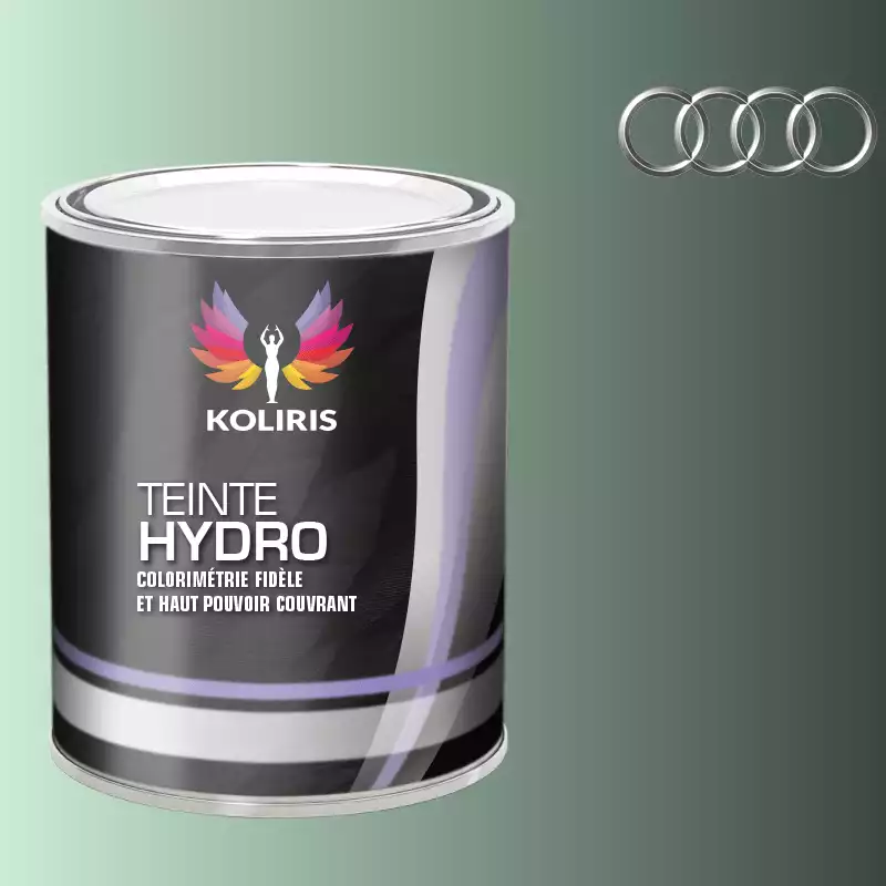 Peinture voiture hydro Audi