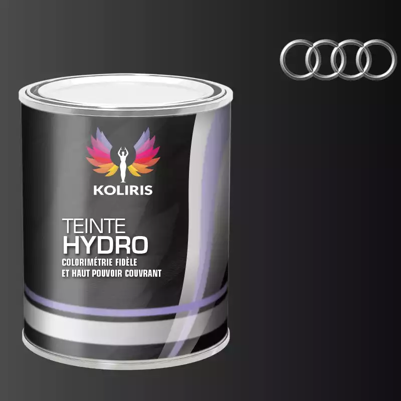 Peinture voiture hydro Audi