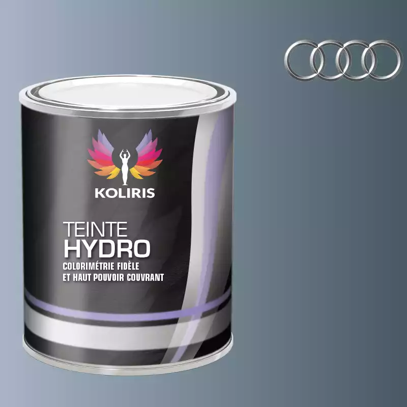 Peinture voiture hydro Audi