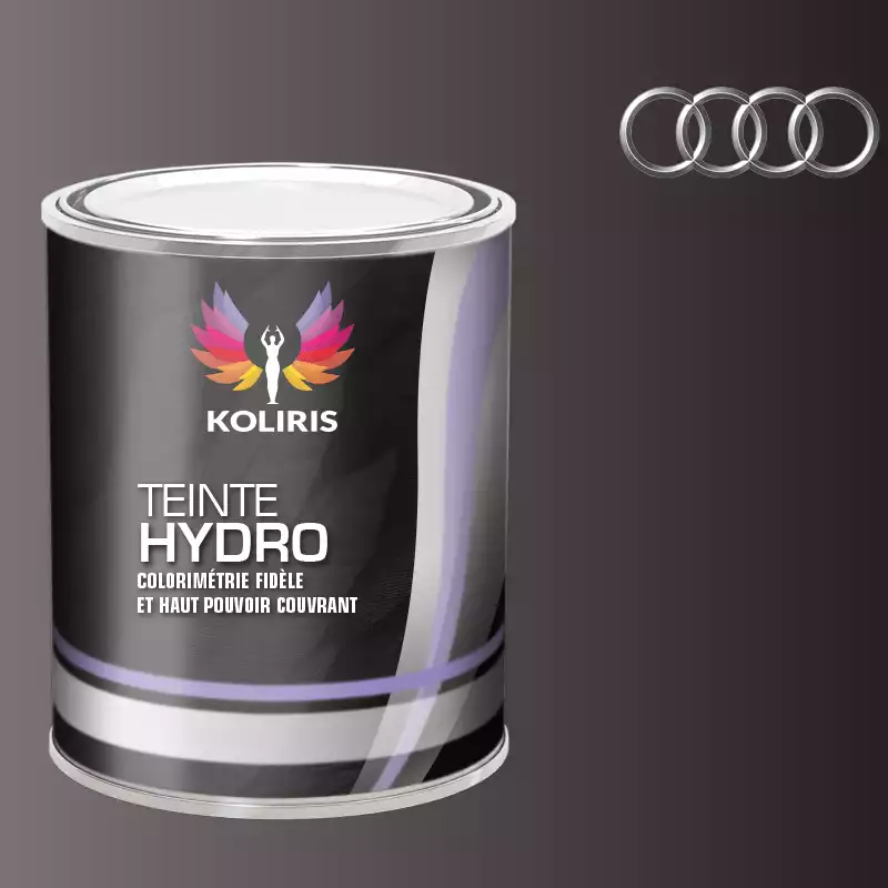 Peinture voiture hydro Audi