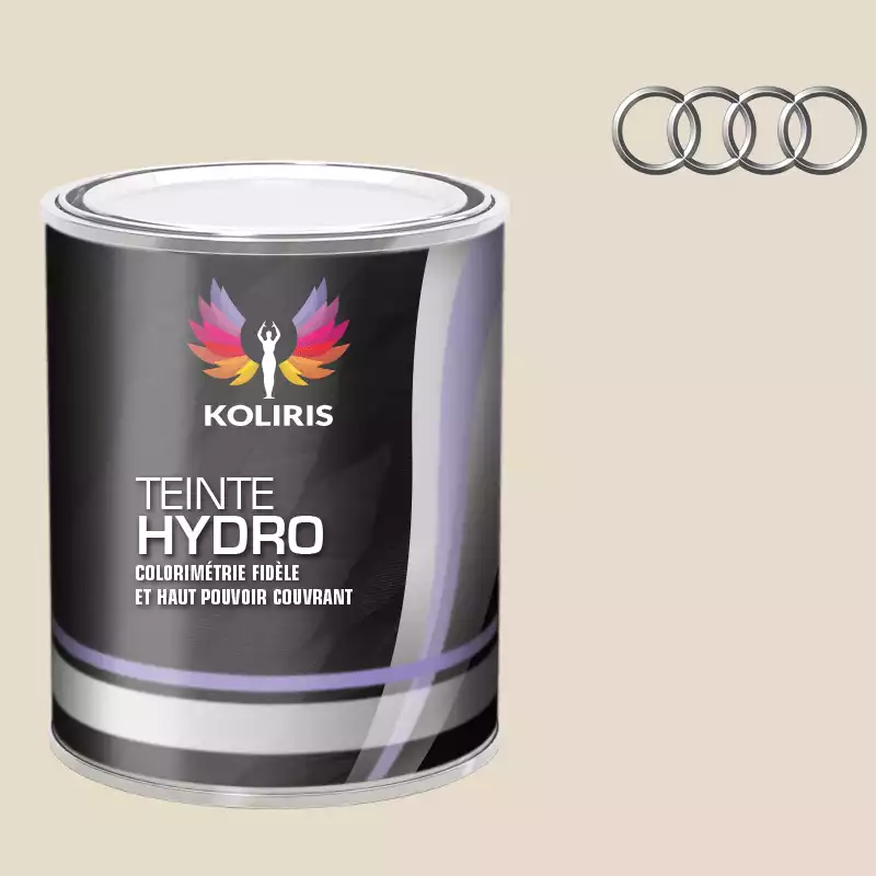 Peinture voiture hydro Audi