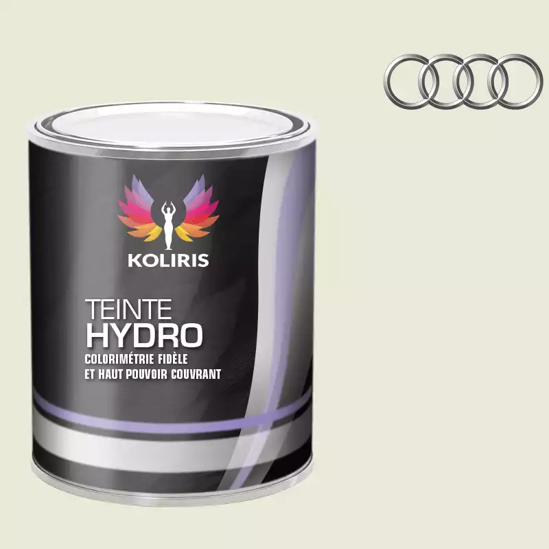 Peinture voiture hydro Audi