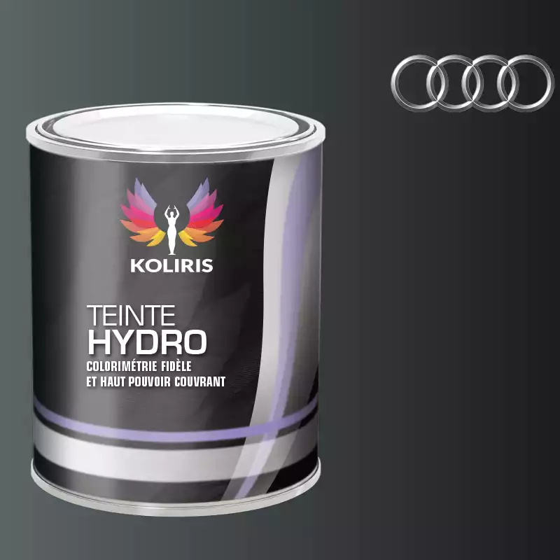 Peinture voiture hydro Audi