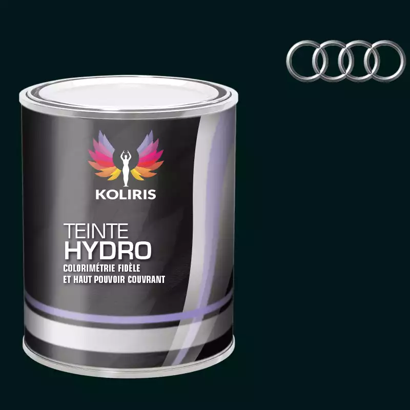 Peinture voiture hydro Audi