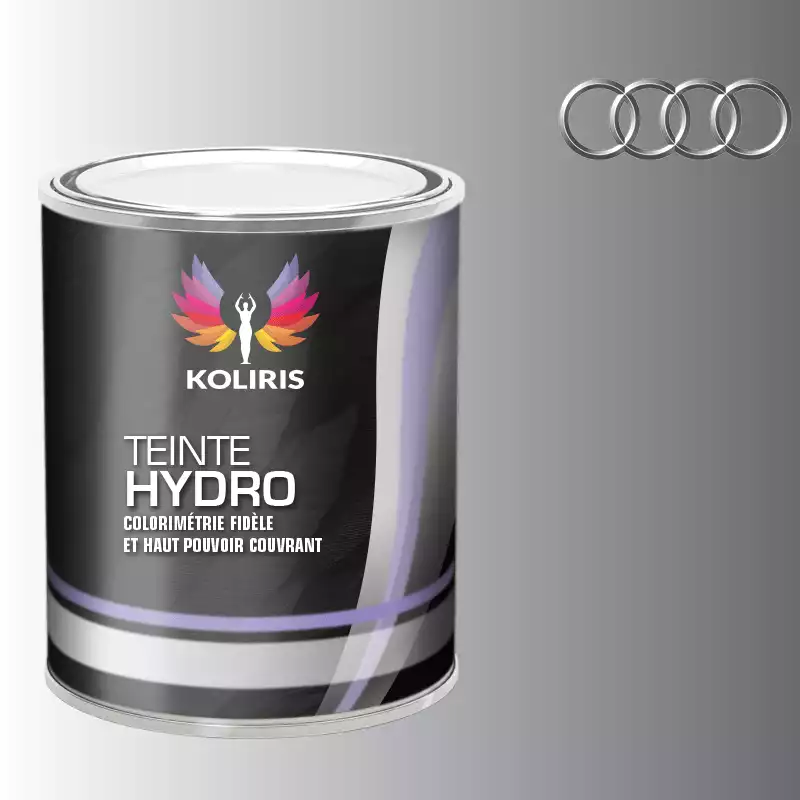 Peinture voiture hydro Audi