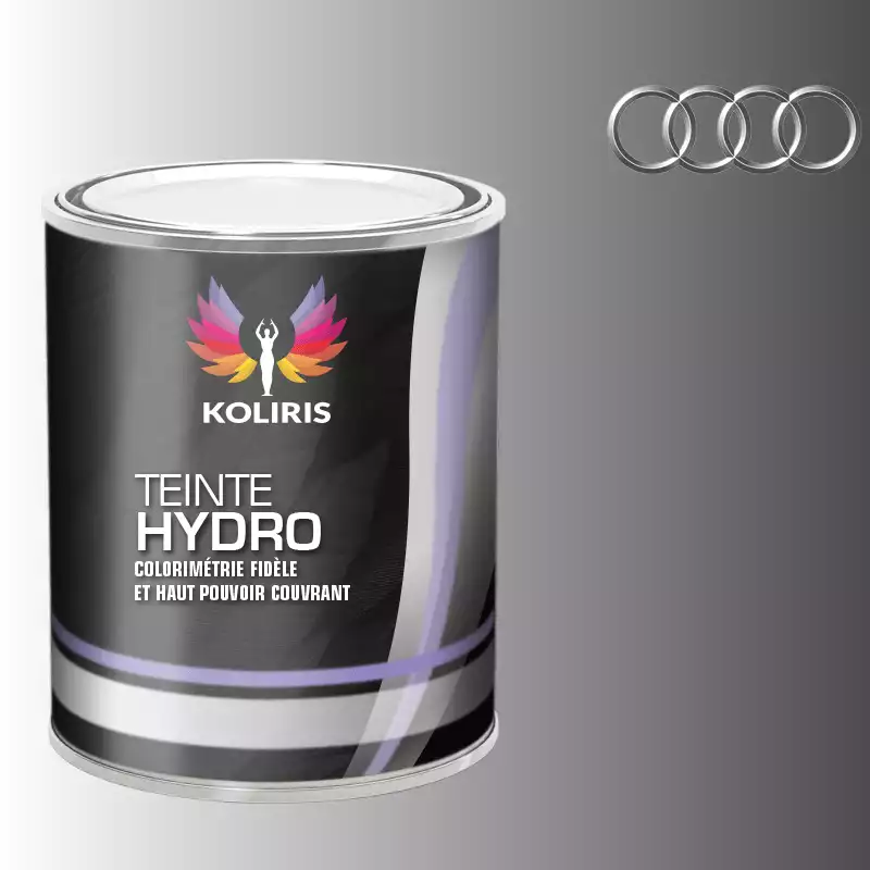 Peinture voiture hydro Audi