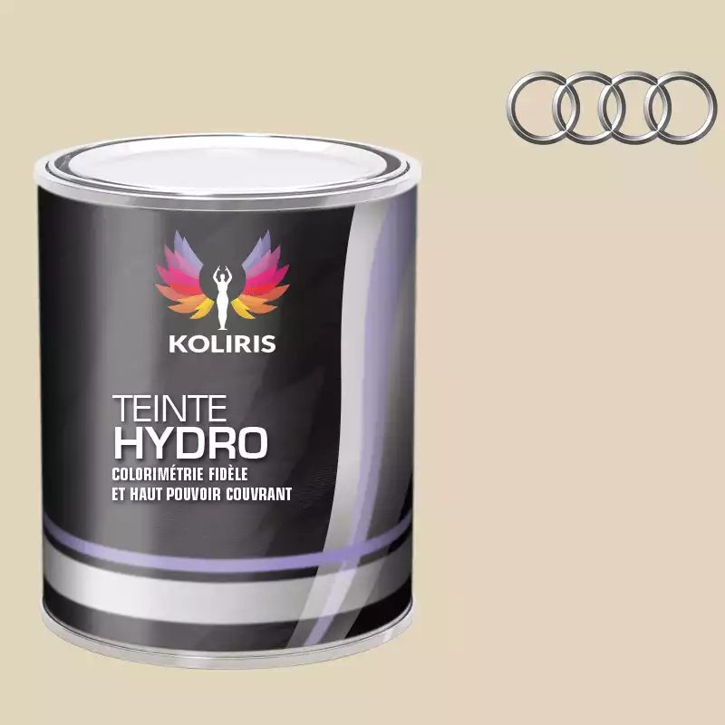 Peinture voiture hydro Audi