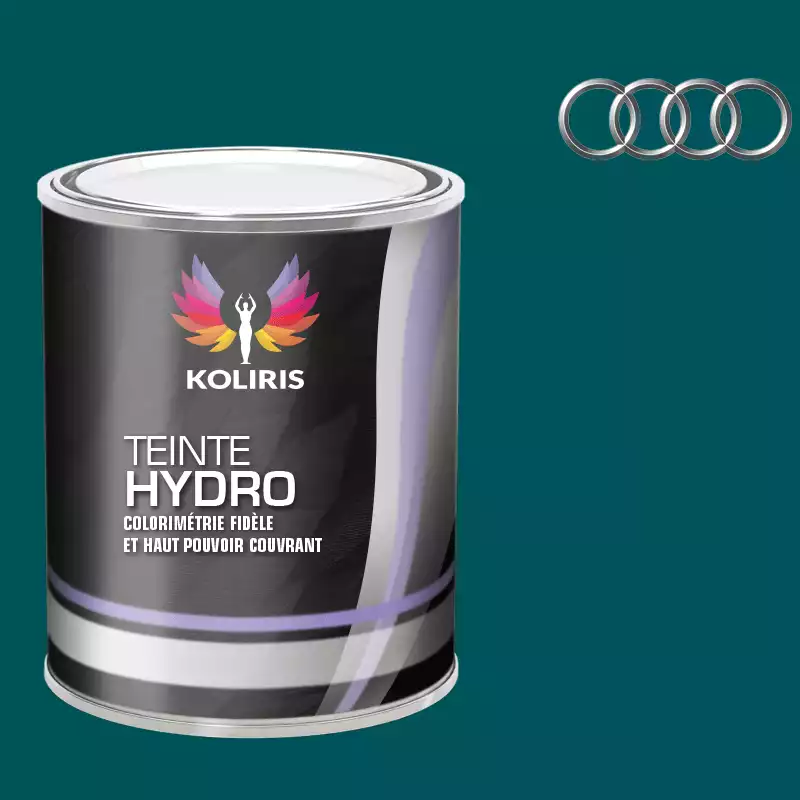 Peinture voiture hydro Audi