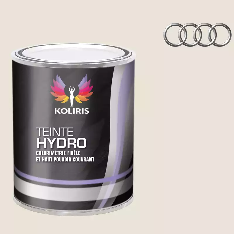 Peinture voiture hydro Audi