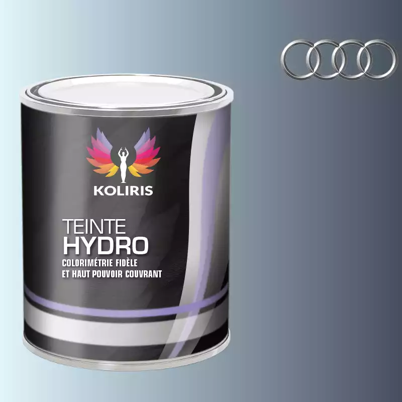 Peinture voiture hydro Audi