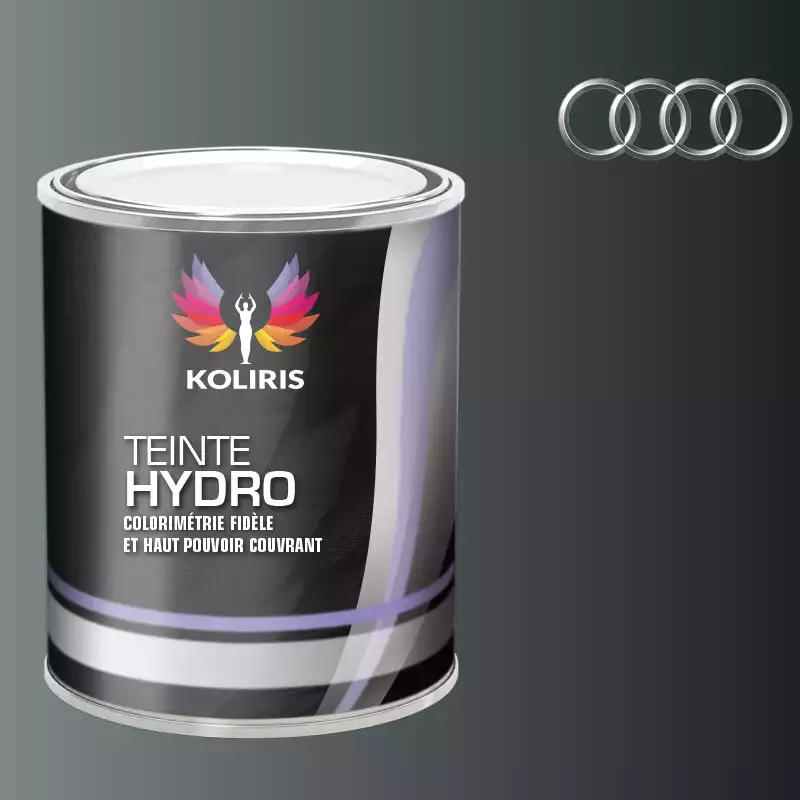 Peinture voiture hydro Audi