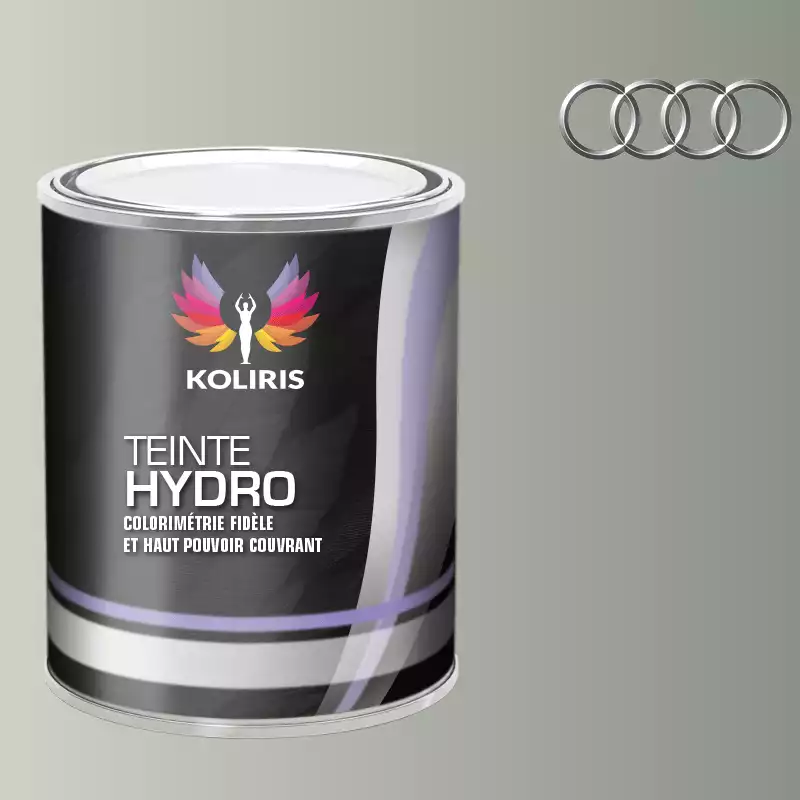 Peinture voiture hydro Audi