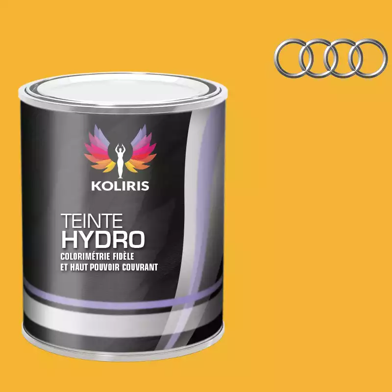 Peinture voiture hydro Audi