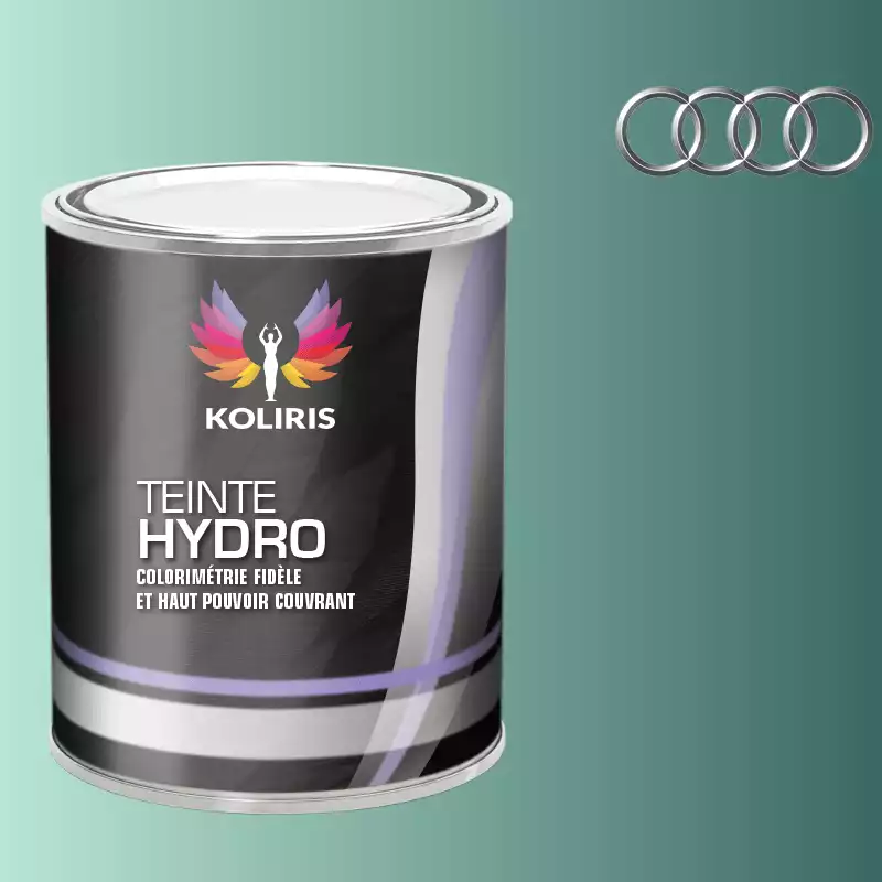 Peinture voiture hydro Audi