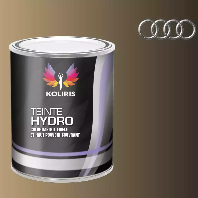 Peinture voiture hydro Audi