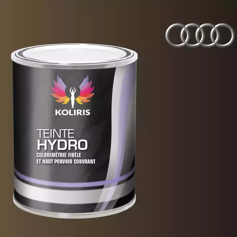 Peinture voiture hydro Audi