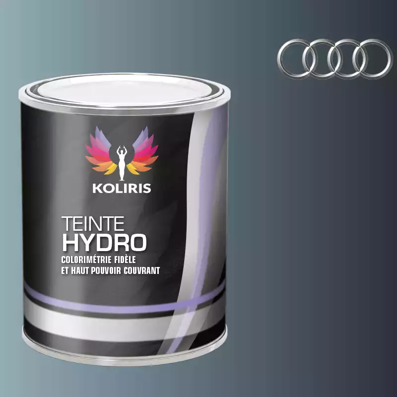 Peinture voiture hydro Audi