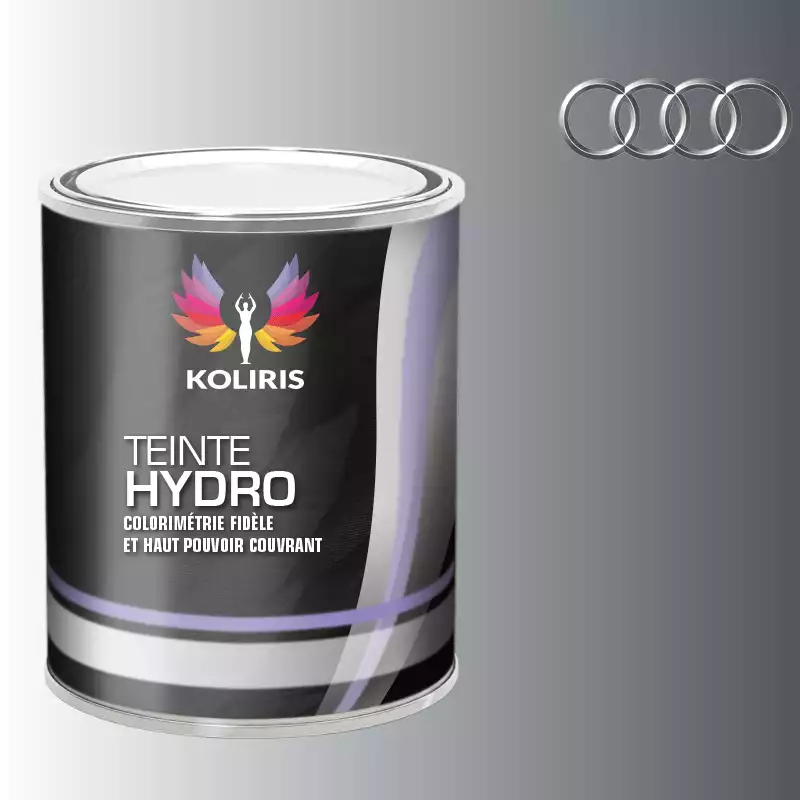 Peinture voiture hydro Audi