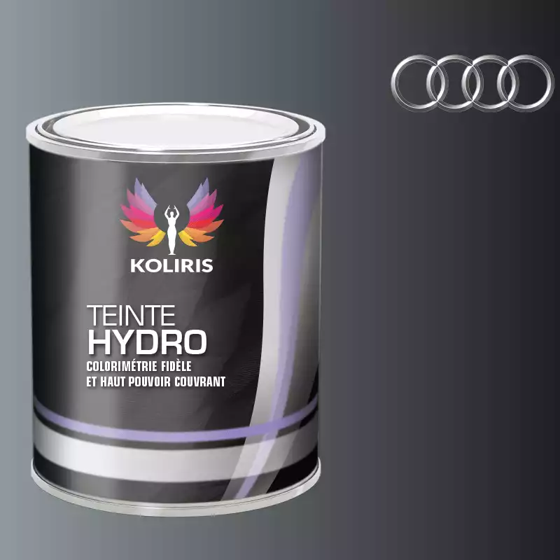 Peinture voiture hydro Audi