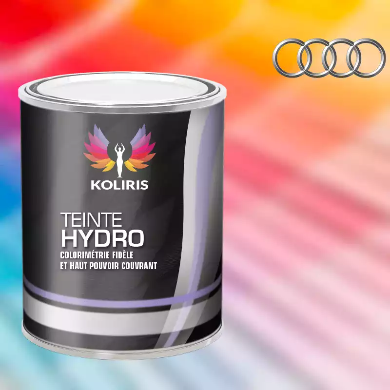 Peinture voiture hydro Audi