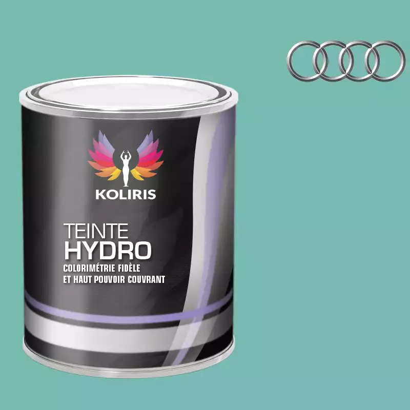 Peinture voiture hydro Audi