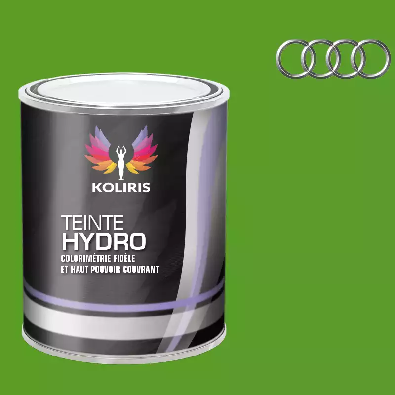 Peinture voiture hydro Audi