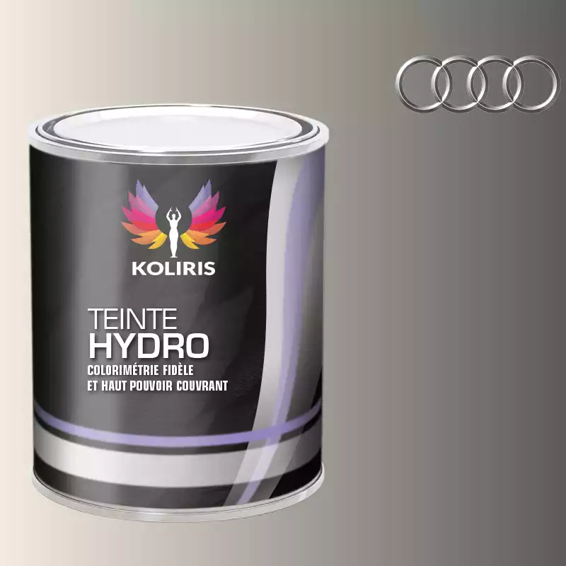 Peinture voiture hydro Audi