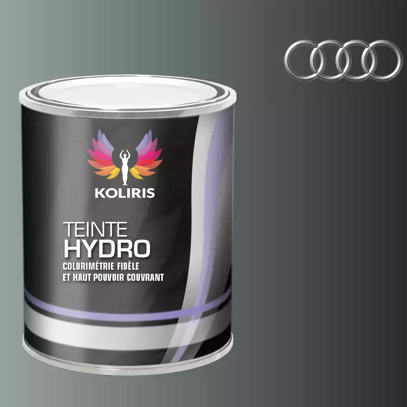 Peinture voiture hydro Audi