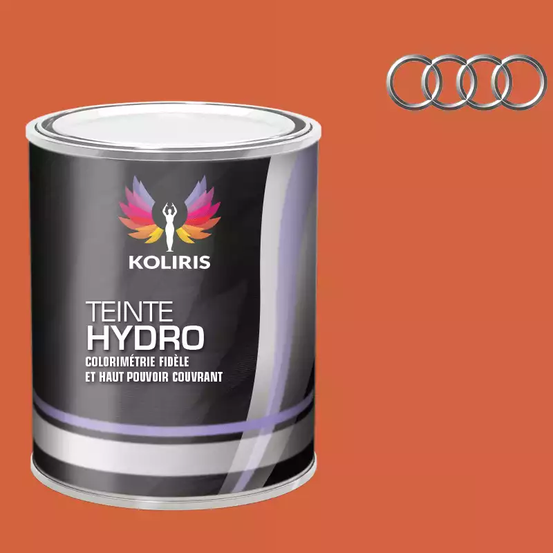 Peinture voiture hydro Audi