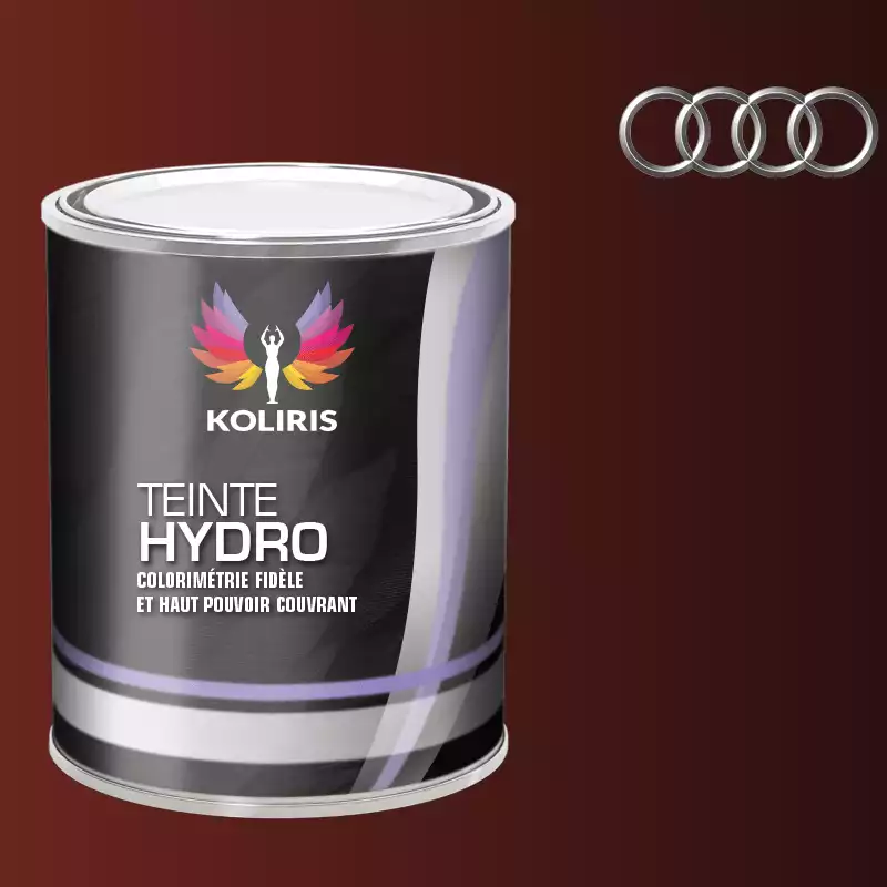 Peinture voiture hydro Audi