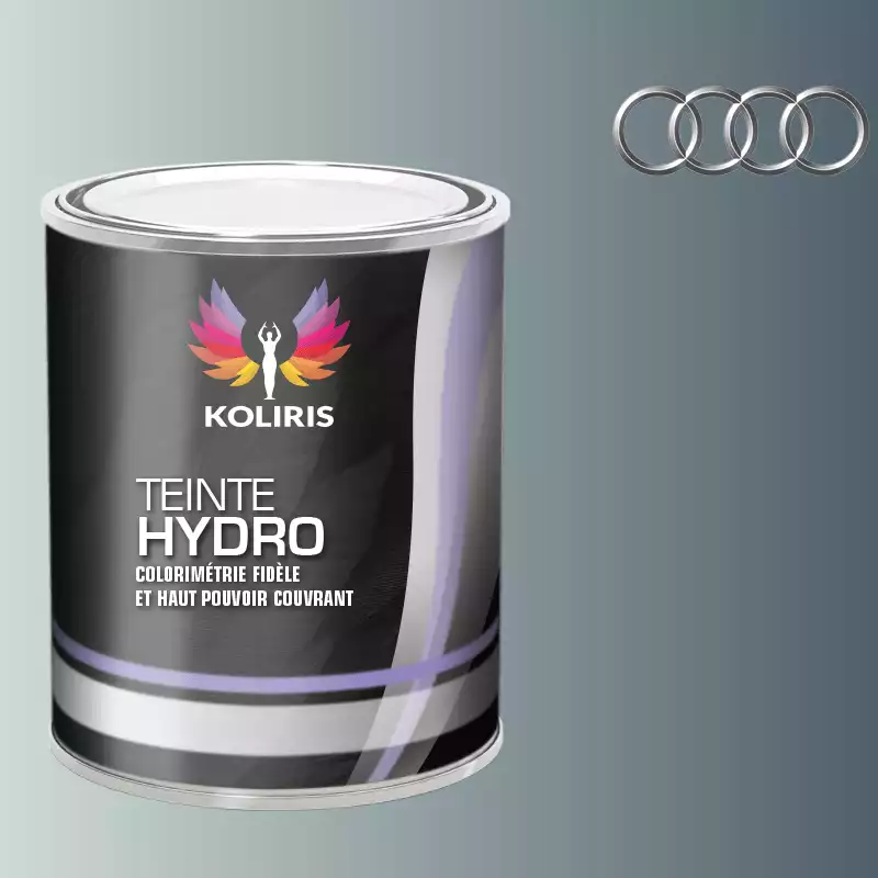 Peinture voiture hydro Audi