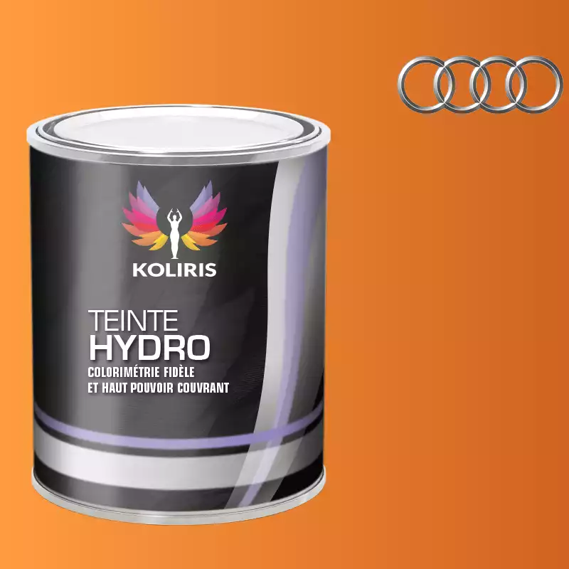 Peinture voiture hydro Audi