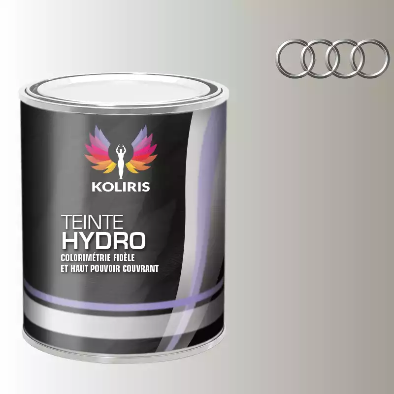 Peinture voiture hydro Audi