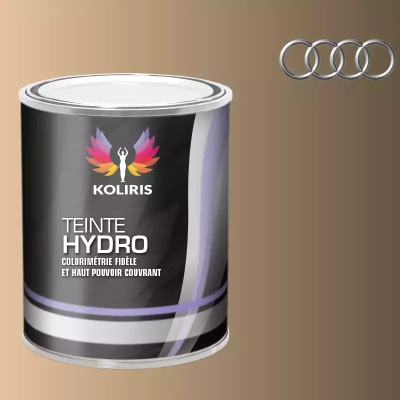 Peinture voiture hydro Audi