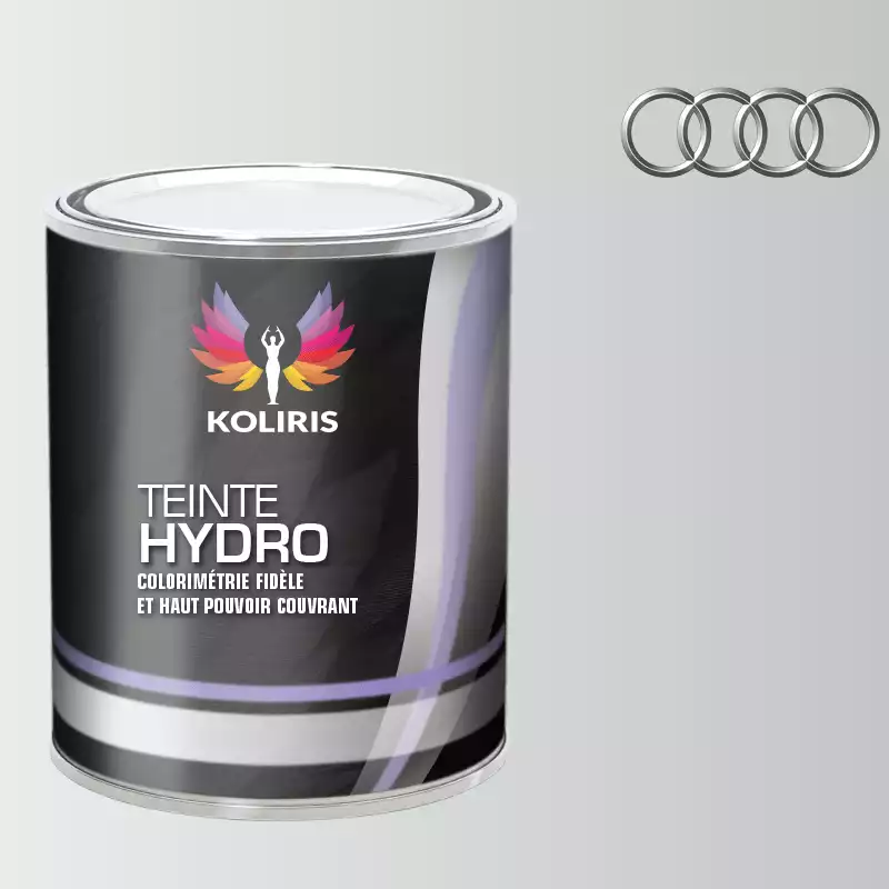 Peinture voiture hydro Audi
