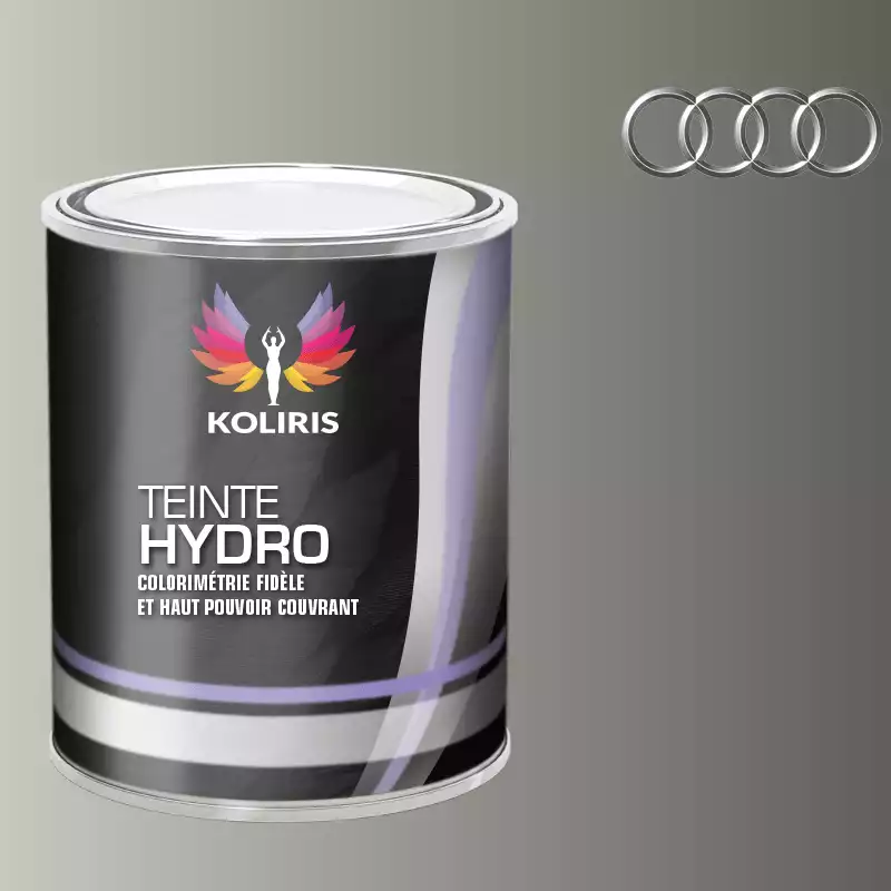 Peinture voiture hydro Audi