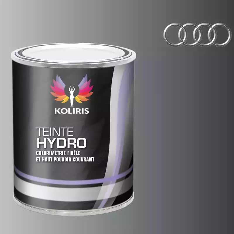 Peinture voiture hydro Audi